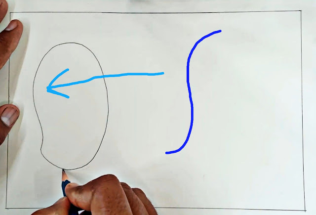 How to Draw a Mango image