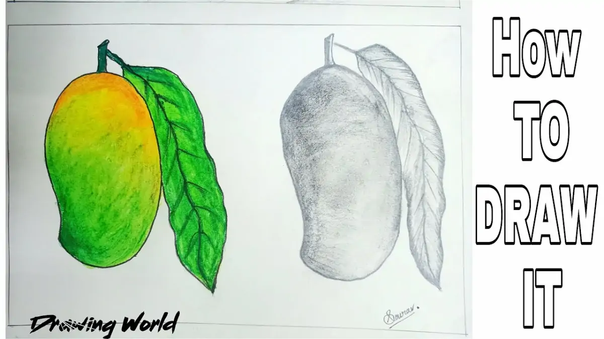 fruits drawing for kids