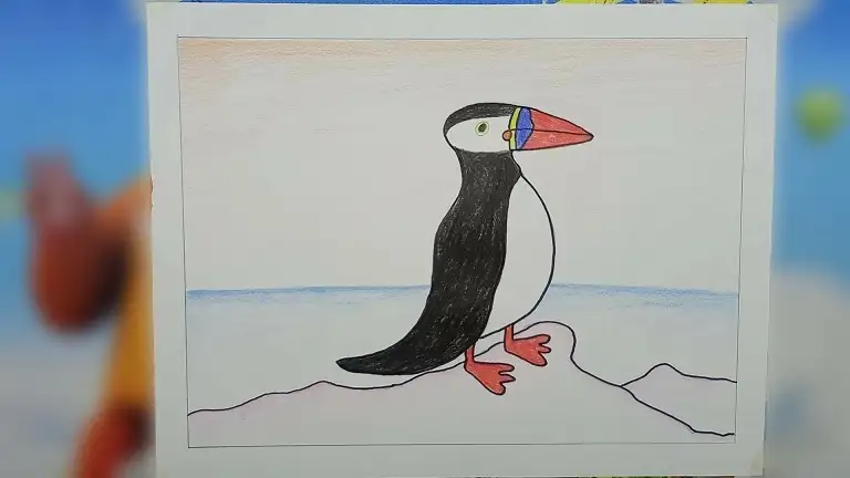 Puffin Drawing Tutorial for Beginners with Oil Pastel