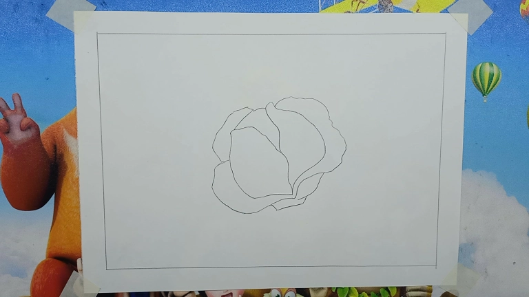 Cabbage Vegetable Drawing Easy - Oil Pastel Drawing 4 Cabbage Vegetable Drawing Easy - Oil Pastel Drawing