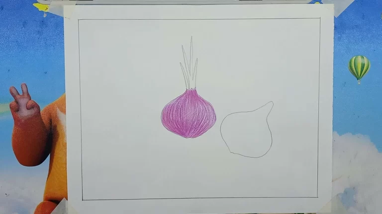 Onion Drawing Easy Step by Step For Kids/Beginners 5 Onion Drawing 4 edited