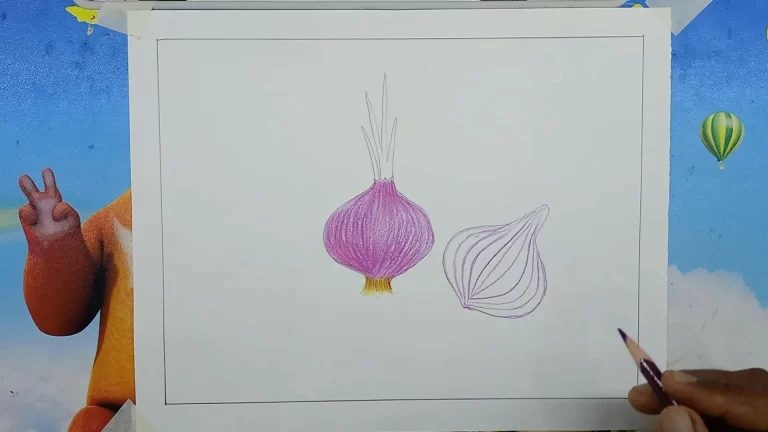 Onion Drawing Easy Step by Step For Kids/Beginners 7 Onion Drawing 6 edited