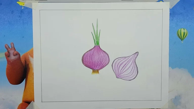 Onion Drawing Easy Step by Step For Kids/Beginners 8 Onion Drawing 8 edited