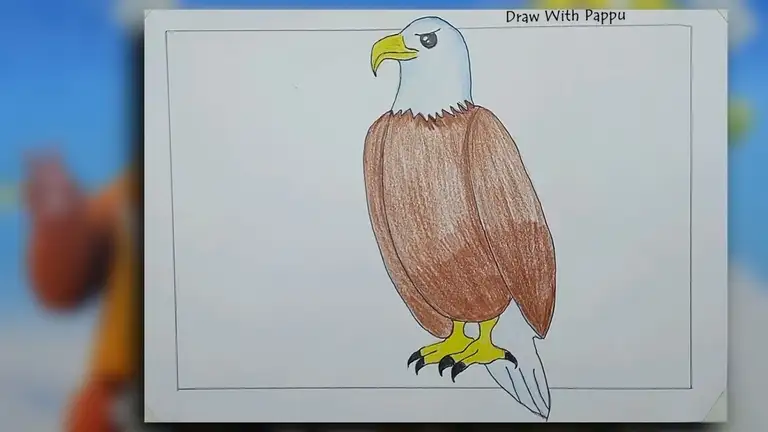 How to Draw an Eagle: Easy Tutorial for Beginners